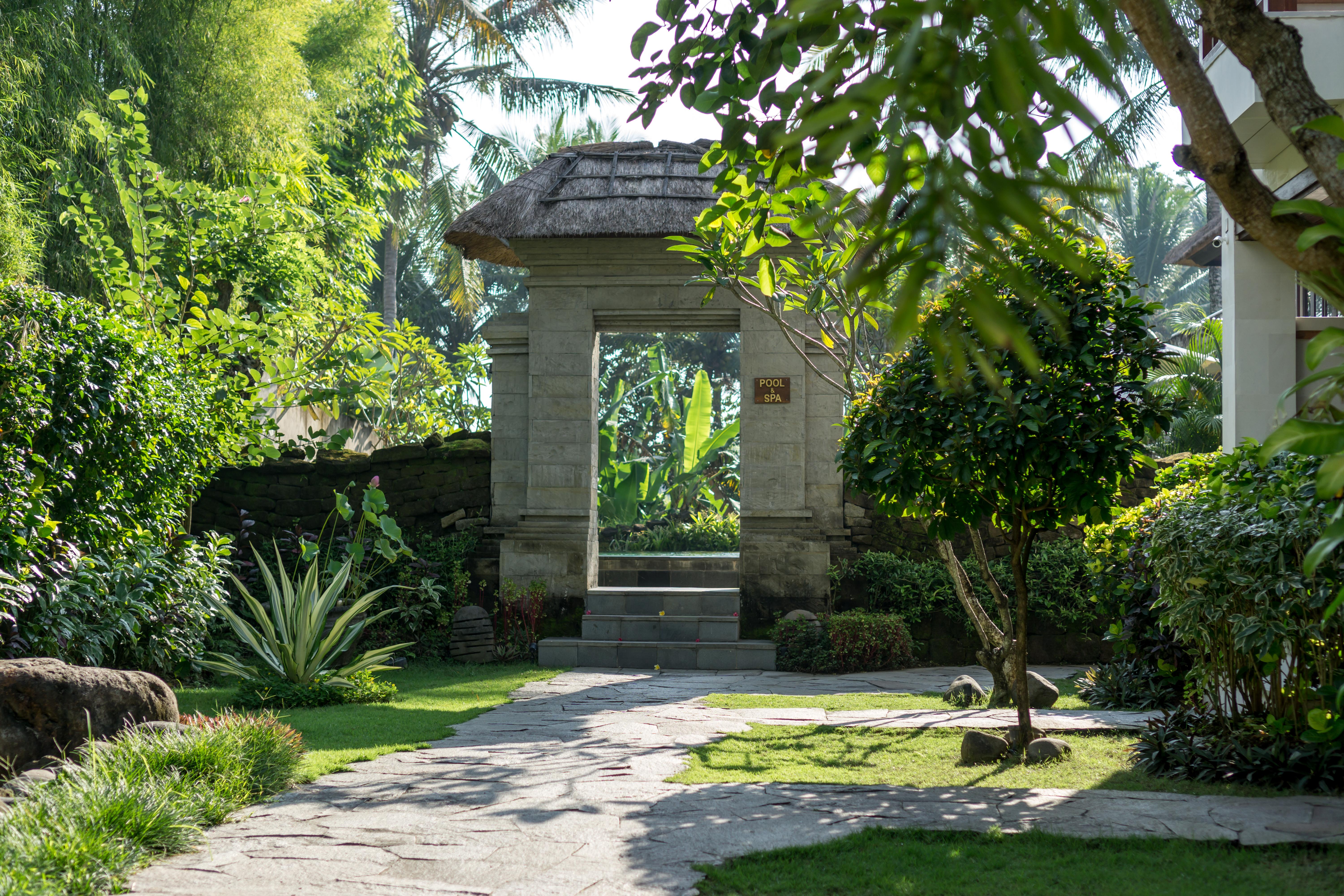 Radha Phala & Ubud